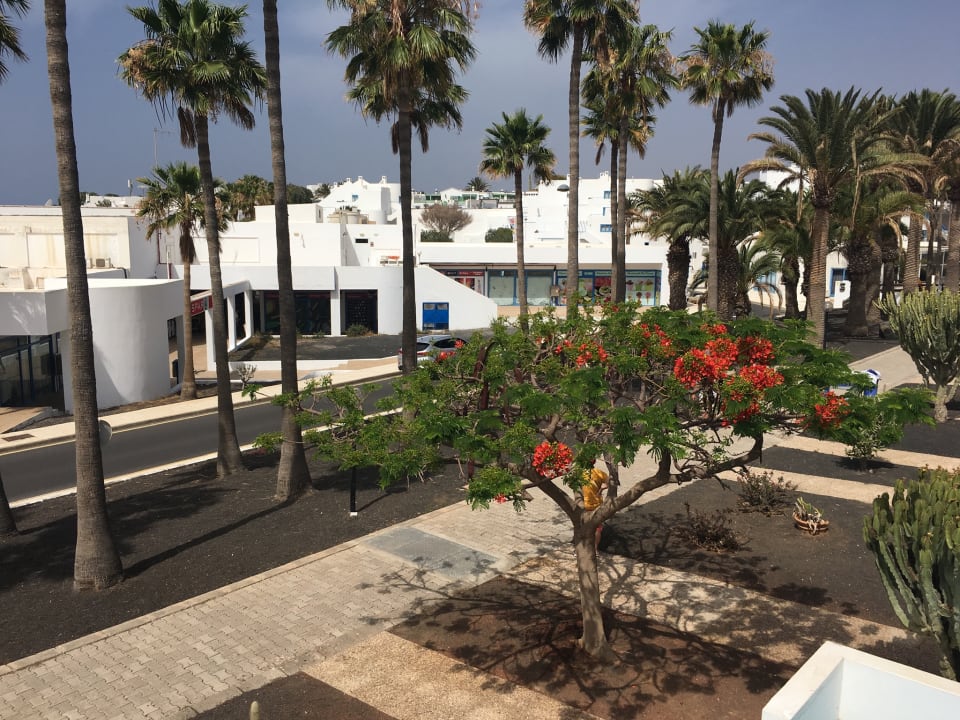 Außenansicht Aparthotel Costa Mar