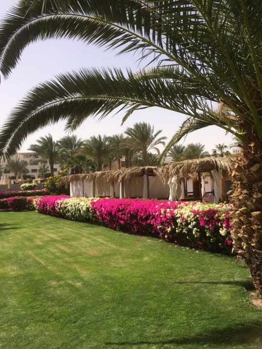 Gartenanlage Fort Arabesque Resort, Spa & Villas