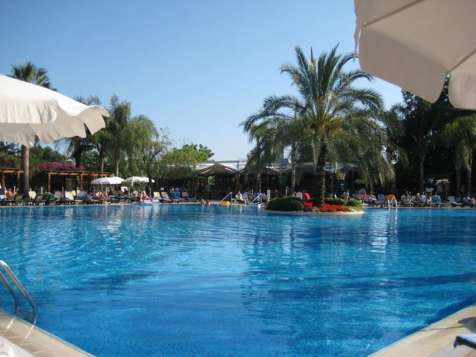 Pool Side Star Elegance