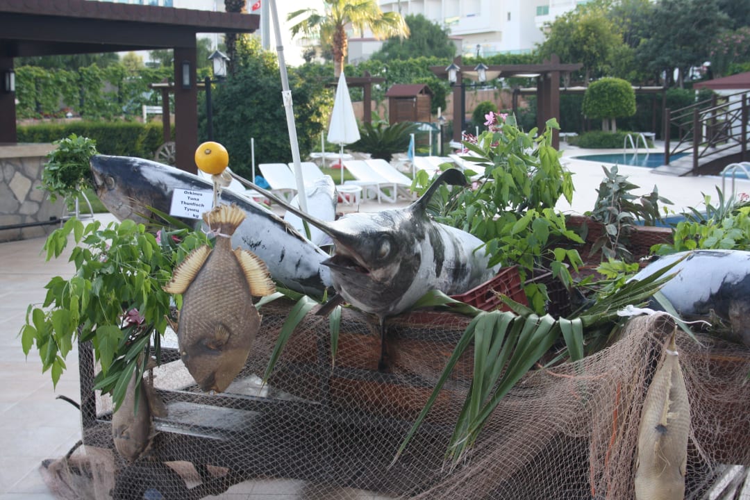 Piratenabend Monachus Hotel & Spa