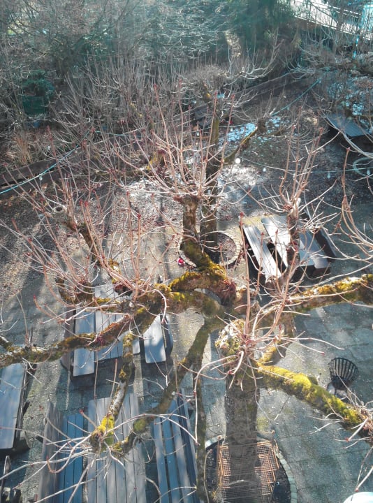 Biergarten Landgasthof Zum Brückenwirt