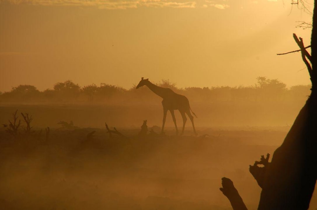 Abendstimmung am Wasserloch Okaukuejo Camp