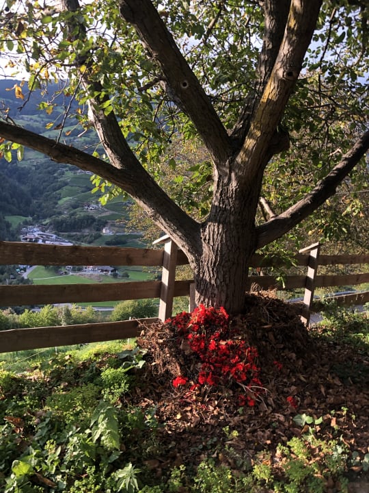 Sonstiges Pension Troglerhof
