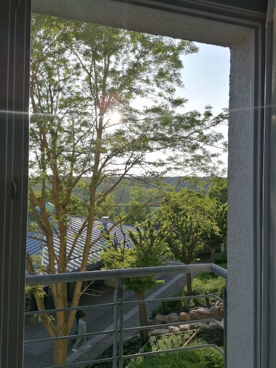 Ausblick Victor's Residenz-Hotel Teistungenburg