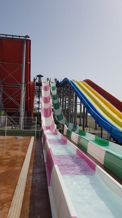 Sport & Freizeit Globales Bouganvilla