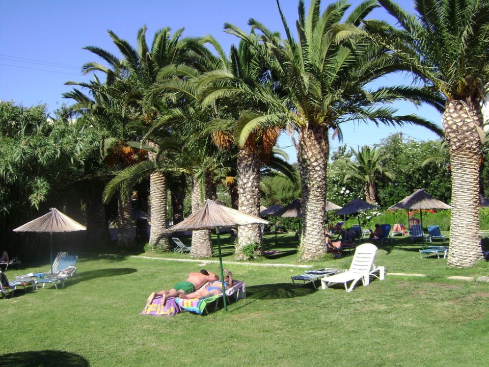 Ogród przy basenie Marilena Hotel