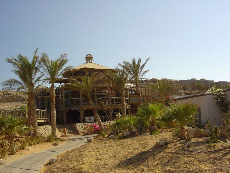 Fischrestaurant und Tauchbasis am Strand Parrotel Beach Resort