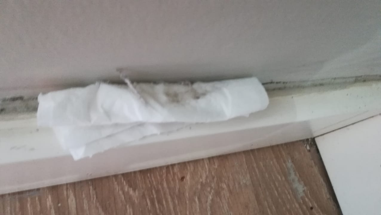 Zimmer Greenwood Kemer Resort