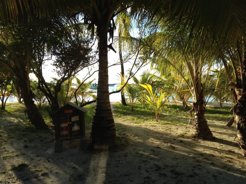 Strand Meeru Maldives Resort Island