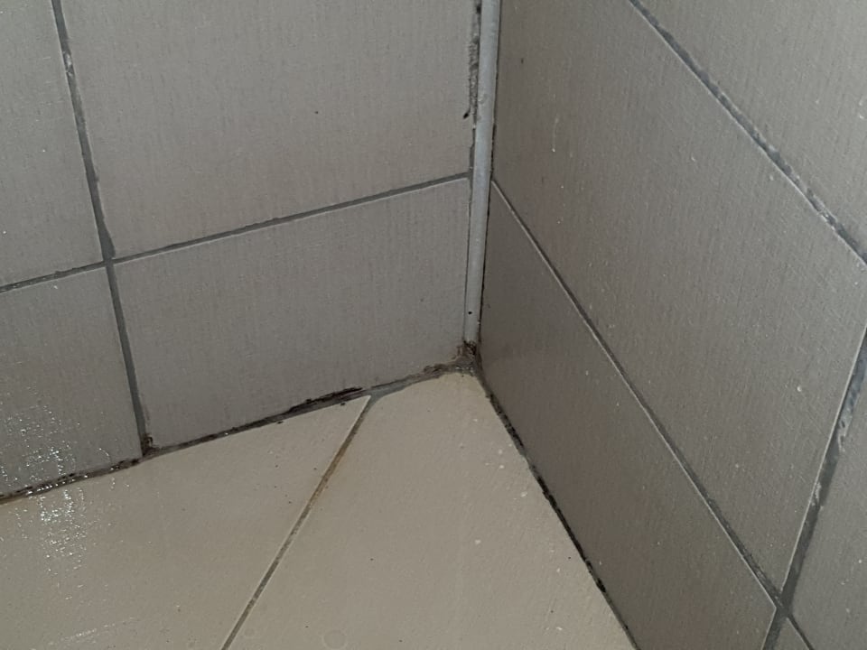 Zimmer Kamelya Aishen Club