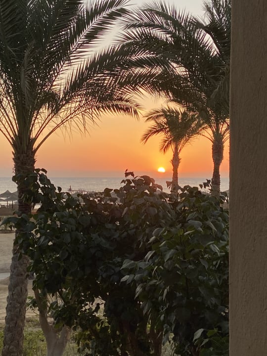 Ausblick Pickalbatros Sands Hotel - Port Ghalib