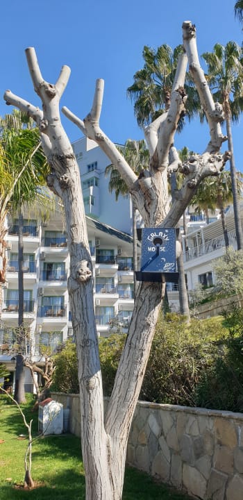 Gartenanlage Iz Flower Side Beach Hotel