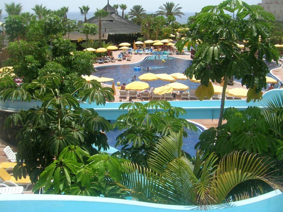 Pool Landmar Playa La Arena