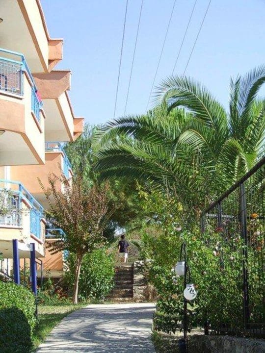 In der Anlage Dream Family Club