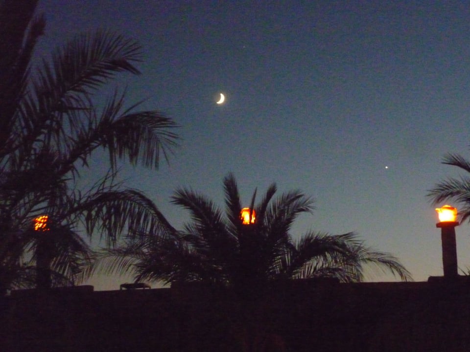 Palmen unterm Sichelmond Royal Wings Hotel