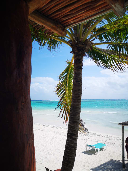 Strand Akumal Bay Beach & Wellness Resort