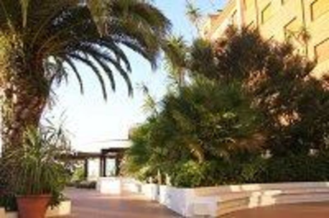 Esterno giardino Hotel 501