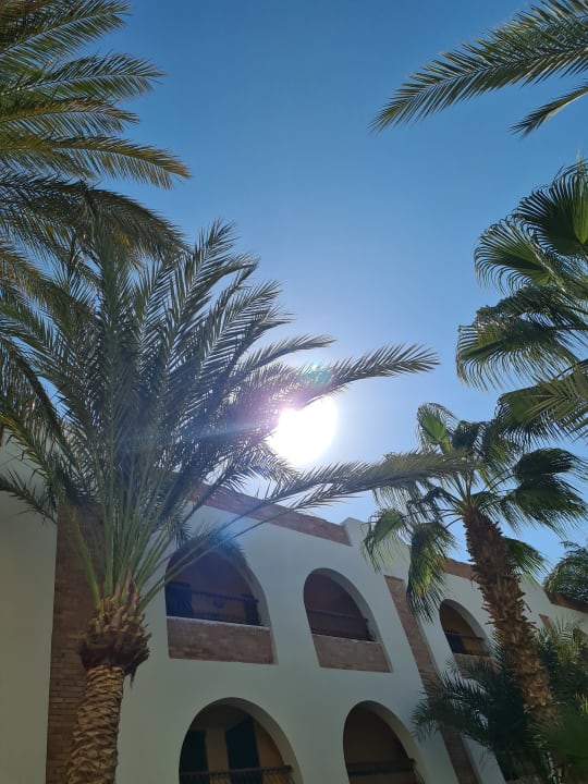 Außenansicht Arabia Azur Resort