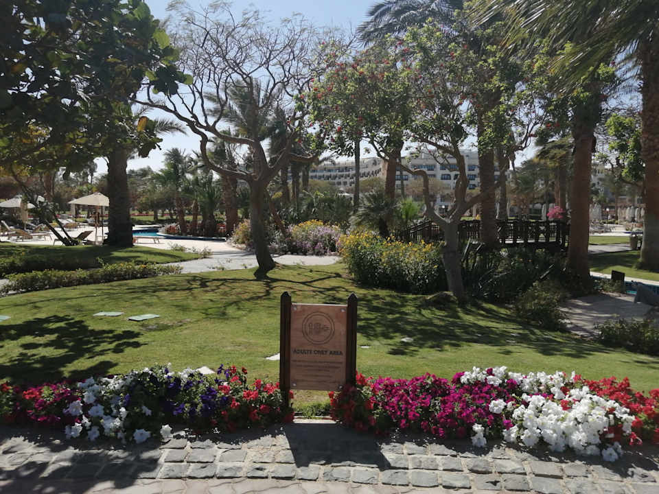 Gartenanlage Steigenberger ALDAU Beach Hotel