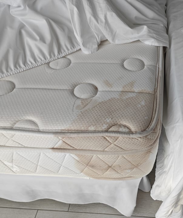 Zimmer Hotel Riu Palace Meloneras