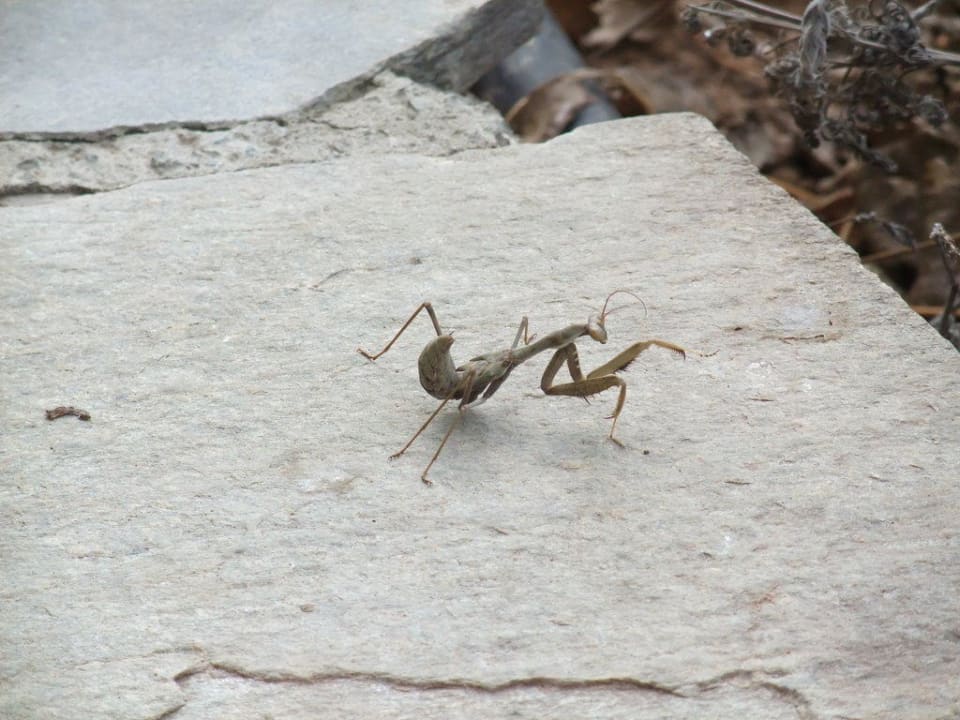 Besucher oder Einheimische? St. George Beach Hotel & Spa Resort