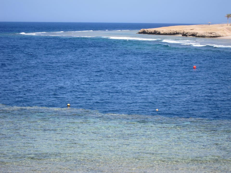 Schnorchelbucht Steigenberger Coraya Beach - Adults only