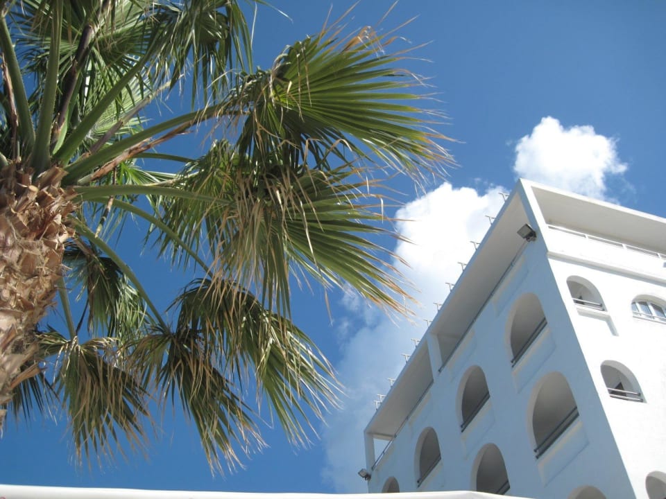 Hotel Palme Glaros Beach Hotel