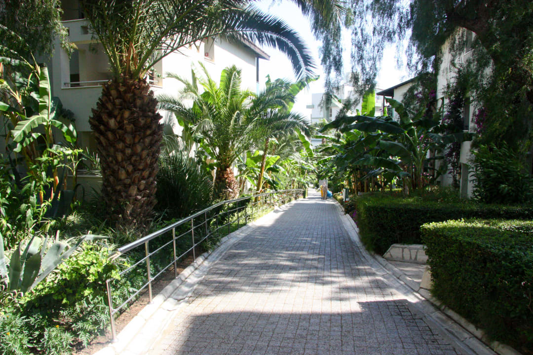 Garten Sealife Buket Resort & Beach