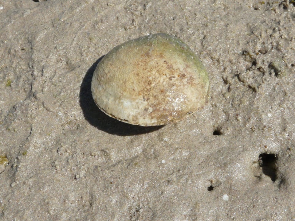 Toll Titanic Beach Spa & Aqua Park