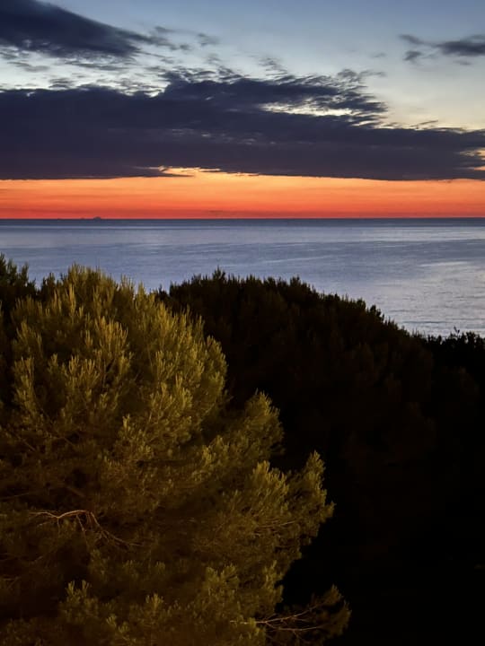 Ausblick Hipotels Bahía Cala Millor