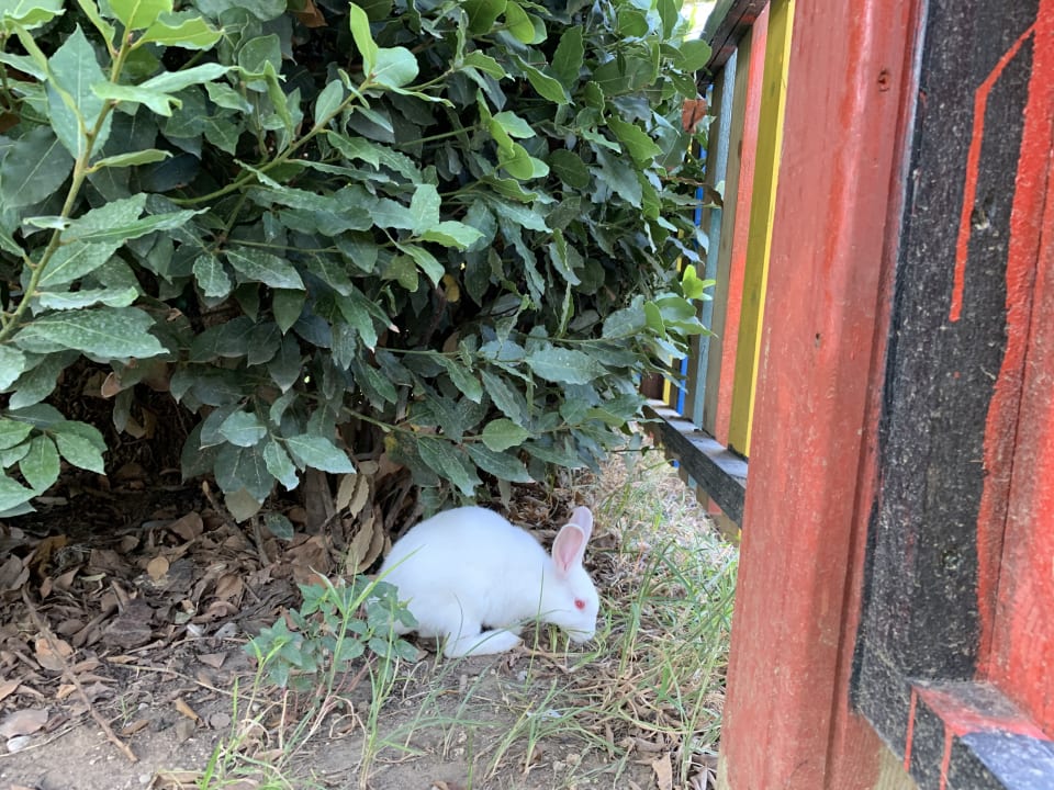 Gartenanlage Saphir Resort & Spa