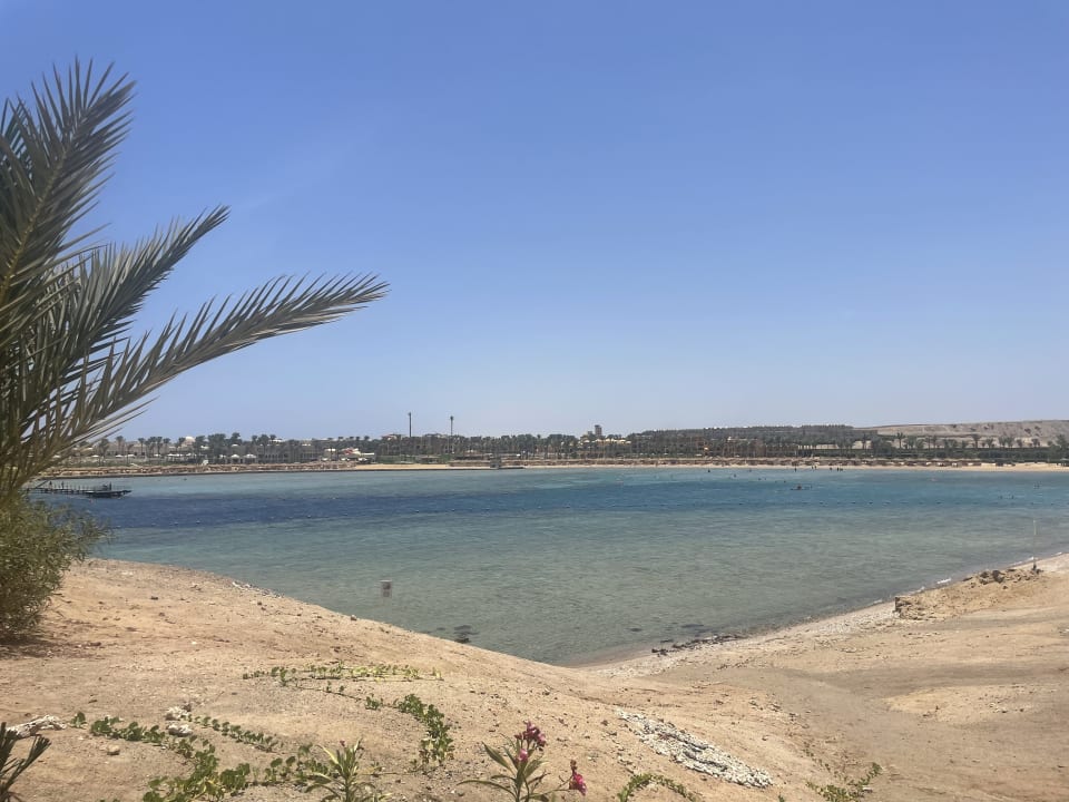 Strand Steigenberger Coraya Beach - Adults only