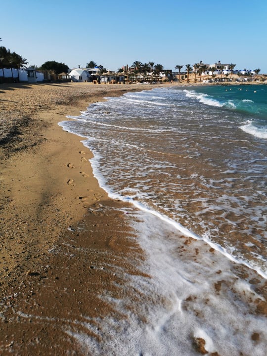 Strand Coral Sun Beach