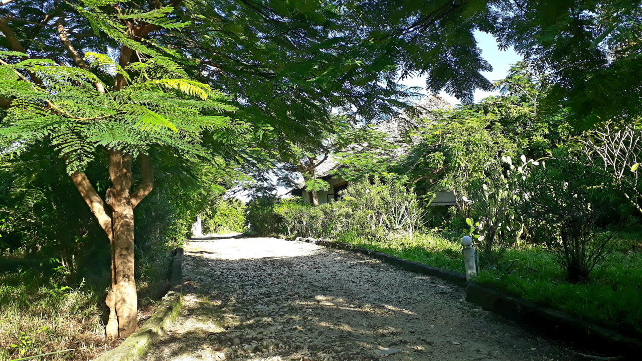 Gartenanlage Spice Island Hotel & Resort