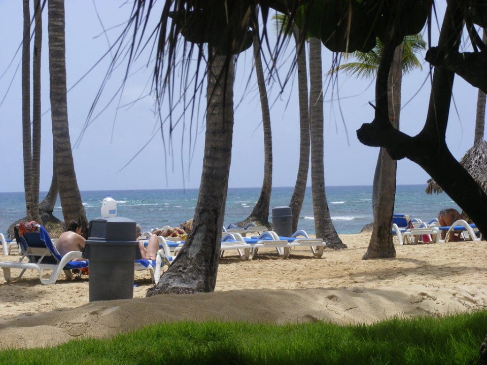 Blick vom Poolbereich zum Strand Grand Sirenis Punta Cana Resort & Aquagames