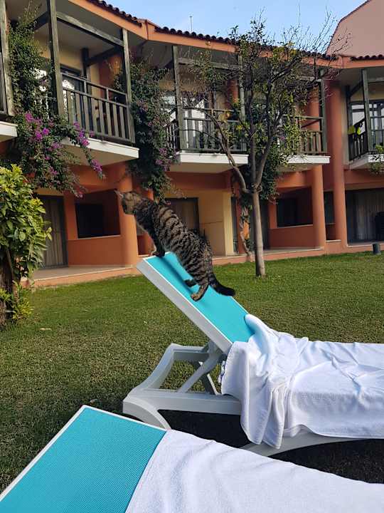 Gartenanlage Limak Limra Hotel & Resort