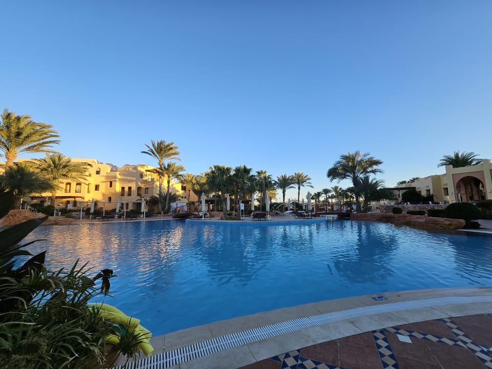 Pool Steigenberger Coraya Beach - Adults only