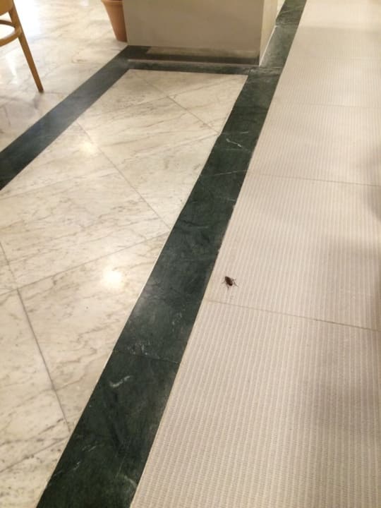 Restaurant Riviera Spa Resort - Adults Only