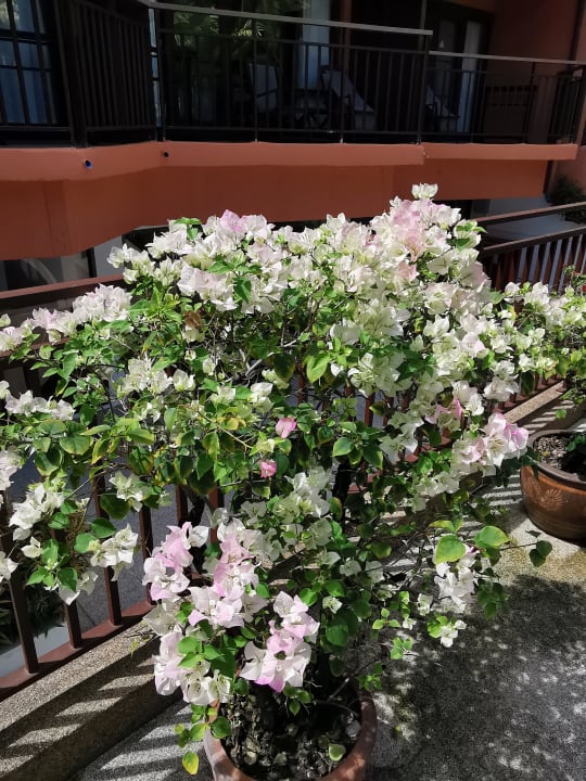 Gartenanlage Courtyard by Marriott Phuket, Patong Beach Resort