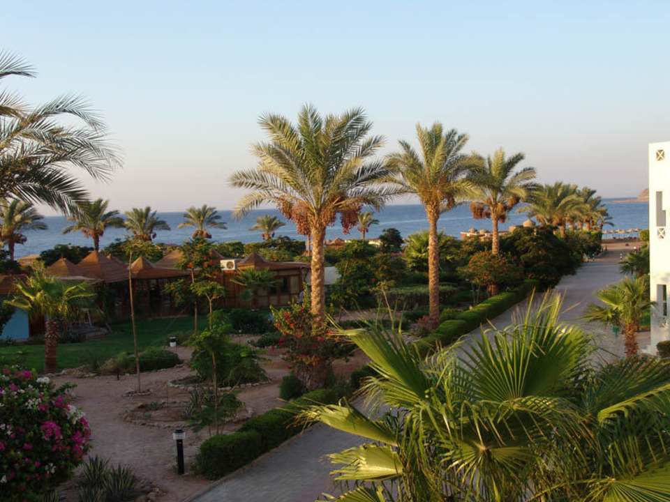 Blick vom Balkon Happy Life Village
