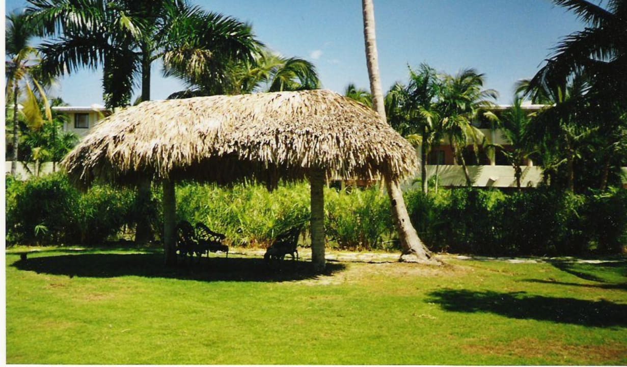 Gartenanlage Catalonia Punta Cana - All Inclusive