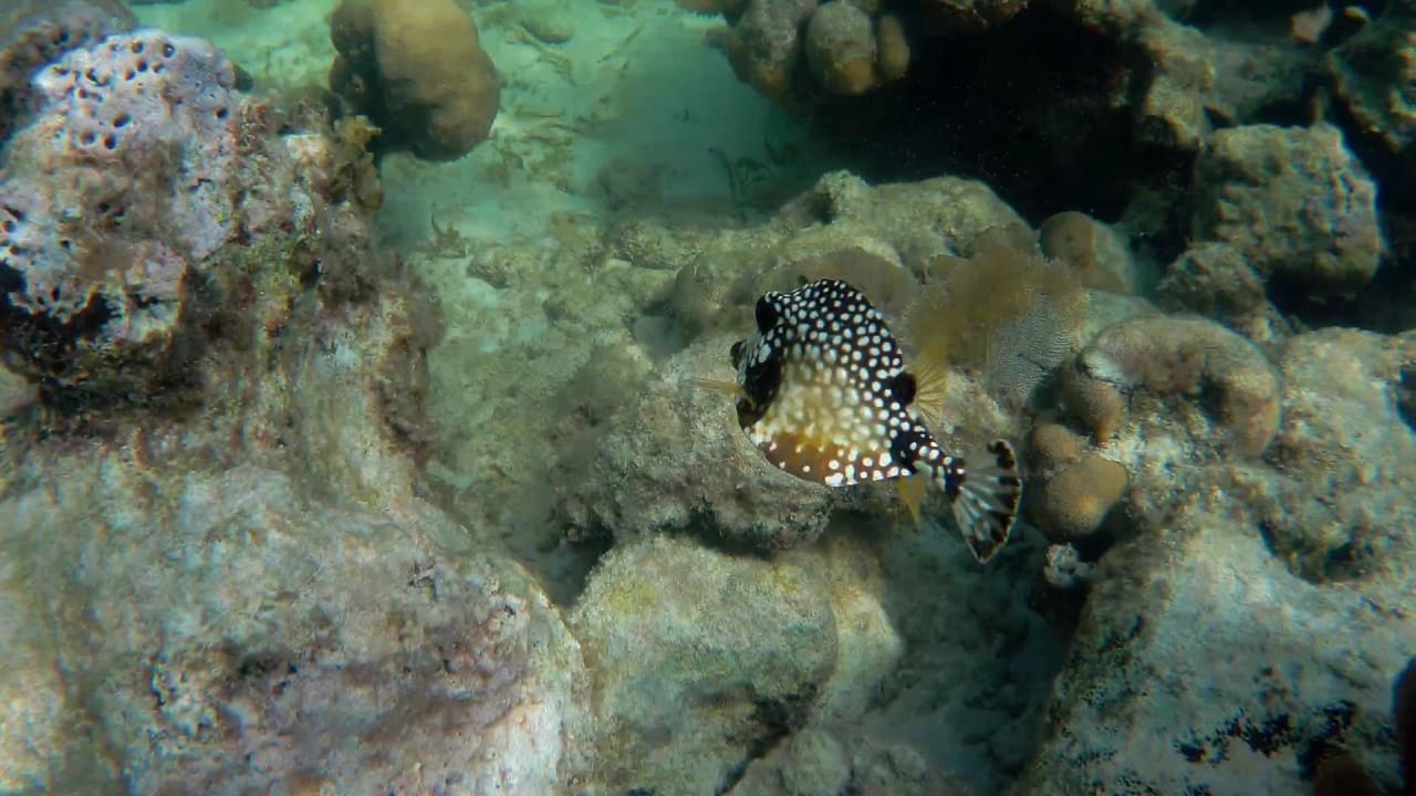 Sport & Freizeit Akumal Bay Beach & Wellness Resort