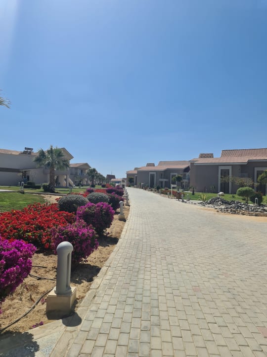 Gartenanlage Pickalbatros Sea World Resort - Marsa Alam