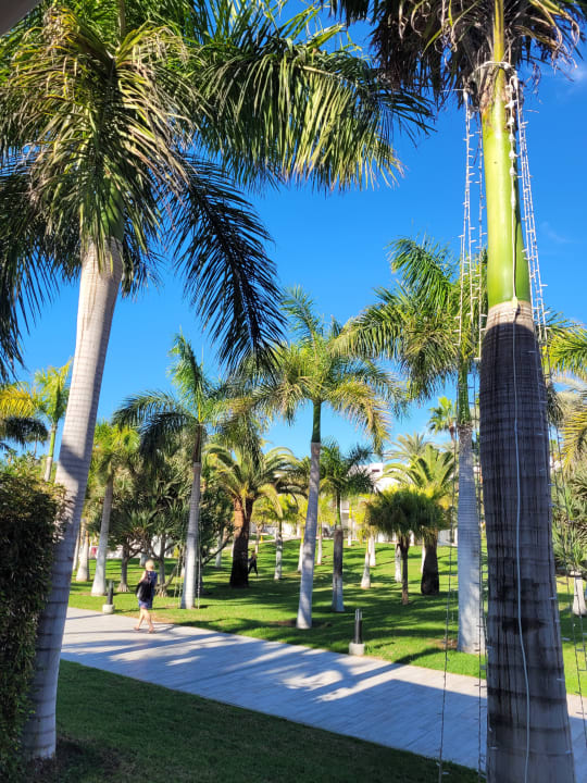Gartenanlage Hotel Riu Palace Meloneras