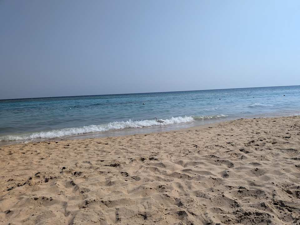 Strand Fantazia Resort Marsa Alam