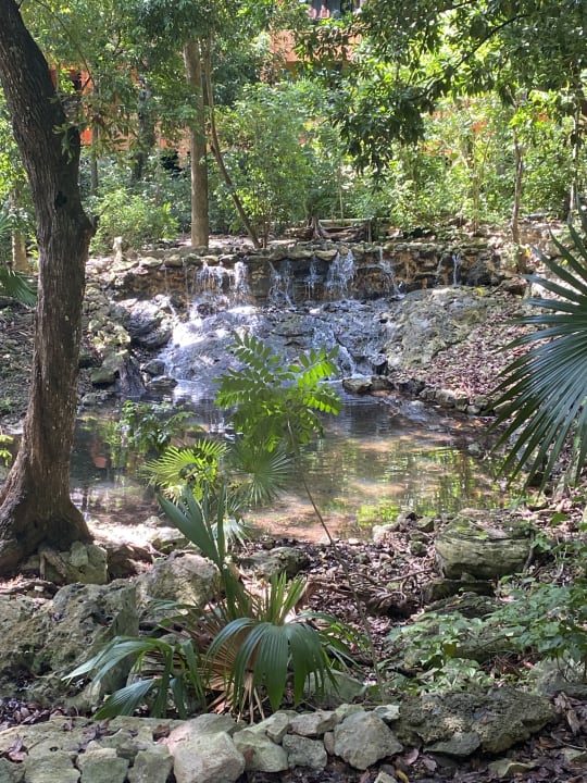 Gartenanlage Iberostar Waves Tucan