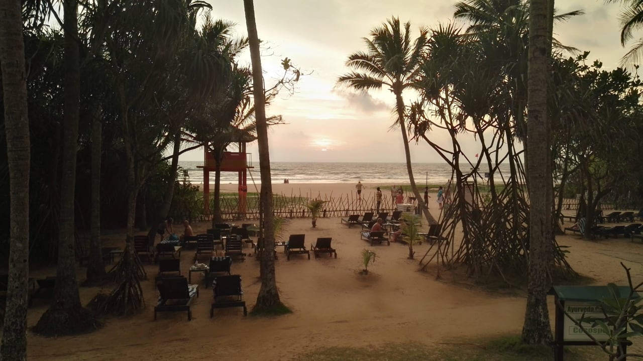 Blick auf den Strand Hotel Club Bentota