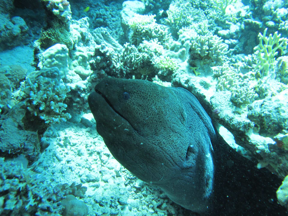 Sport & Freizeit Three Corners Equinox Beach Resort