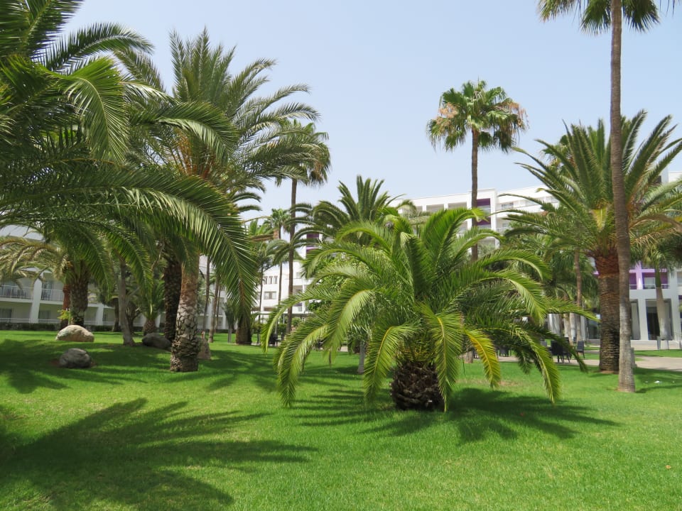 Gartenanlage Hotel Riu Gran Canaria