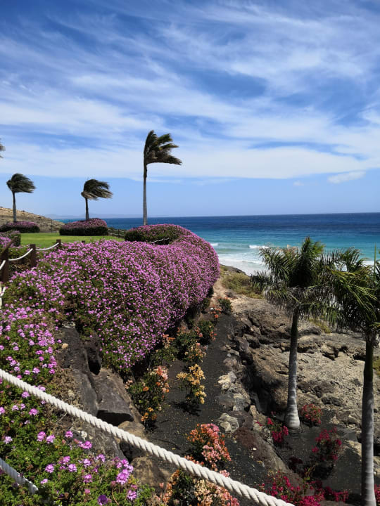 Gartenanlage Royal Palm Resort & Spa - Adults only